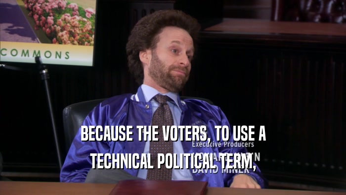 BECAUSE THE VOTERS, TO USE A TECHNICAL POLITICAL TERM, 