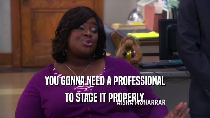 YOU GONNA NEED A PROFESSIONAL TO STAGE IT PROPERLY. 