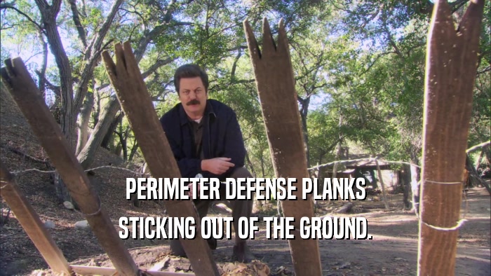 PERIMETER DEFENSE PLANKS STICKING OUT OF THE GROUND. 