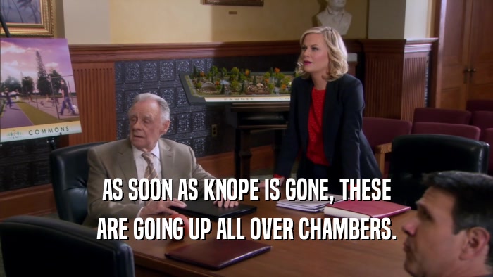AS SOON AS KNOPE IS GONE, THESE ARE GOING UP ALL OVER CHAMBERS. 