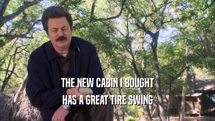 THE NEW CABIN I BOUGHT HAS A GREAT TIRE SWING 