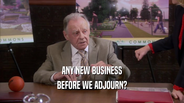 ANY NEW BUSINESS BEFORE WE ADJOURN? 
