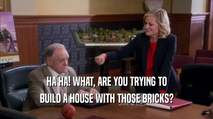 HA HA! WHAT, ARE YOU TRYING TO BUILD A HOUSE WITH THOSE BRICKS? 