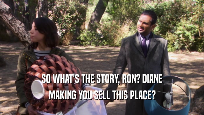 SO WHAT'S THE STORY, RON? DIANE MAKING YOU SELL THIS PLACE? 