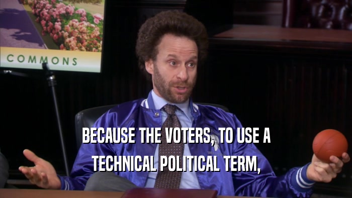 BECAUSE THE VOTERS, TO USE A TECHNICAL POLITICAL TERM, 