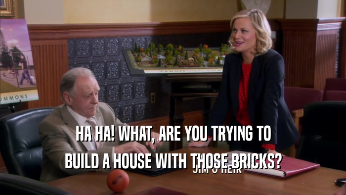 HA HA! WHAT, ARE YOU TRYING TO BUILD A HOUSE WITH THOSE BRICKS? 