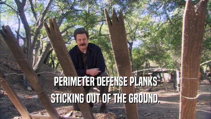 PERIMETER DEFENSE PLANKS STICKING OUT OF THE GROUND. 