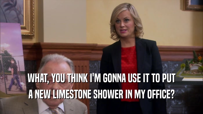 WHAT, YOU THINK I'M GONNA USE IT TO PUT A NEW LIMESTONE SHOWER IN MY OFFICE? 