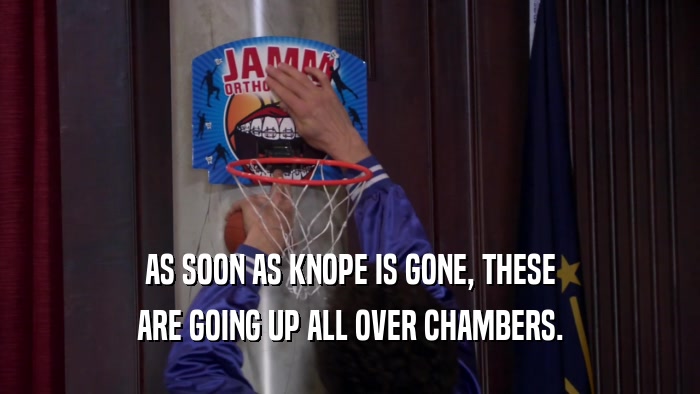 AS SOON AS KNOPE IS GONE, THESE ARE GOING UP ALL OVER CHAMBERS. 