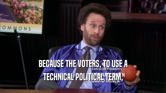 BECAUSE THE VOTERS, TO USE A TECHNICAL POLITICAL TERM, 