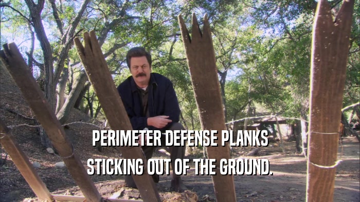 PERIMETER DEFENSE PLANKS STICKING OUT OF THE GROUND. 
