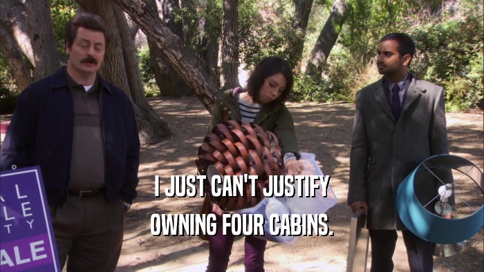 I JUST CAN'T JUSTIFY OWNING FOUR CABINS. 