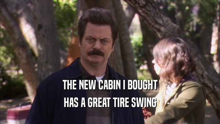 THE NEW CABIN I BOUGHT HAS A GREAT TIRE SWING 