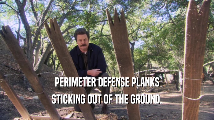 PERIMETER DEFENSE PLANKS STICKING OUT OF THE GROUND. 