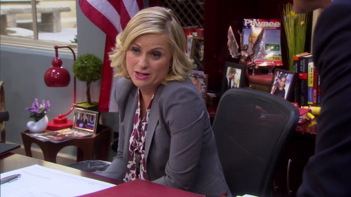 ABOUT MY PAWNEE-TO-ANN ARBOR BULLET TRAIN IDEA. 