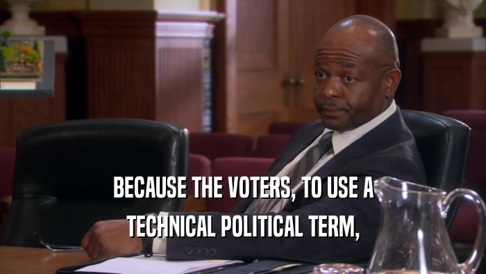 BECAUSE THE VOTERS, TO USE A TECHNICAL POLITICAL TERM, 