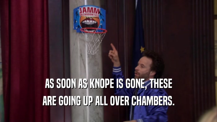 AS SOON AS KNOPE IS GONE, THESE ARE GOING UP ALL OVER CHAMBERS. 