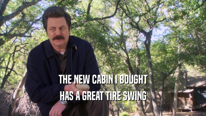 THE NEW CABIN I BOUGHT HAS A GREAT TIRE SWING 