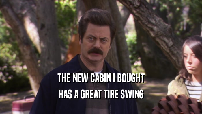 THE NEW CABIN I BOUGHT HAS A GREAT TIRE SWING 