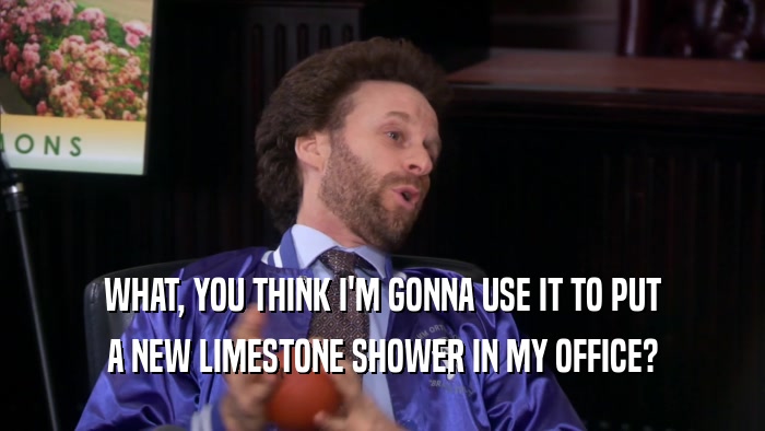WHAT, YOU THINK I'M GONNA USE IT TO PUT A NEW LIMESTONE SHOWER IN MY OFFICE? 