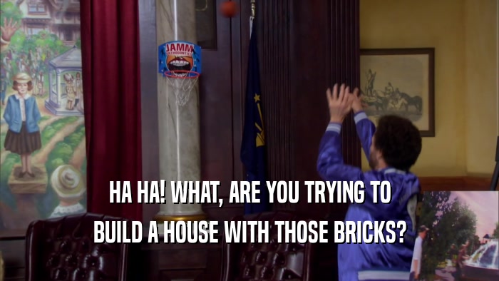 HA HA! WHAT, ARE YOU TRYING TO BUILD A HOUSE WITH THOSE BRICKS? 