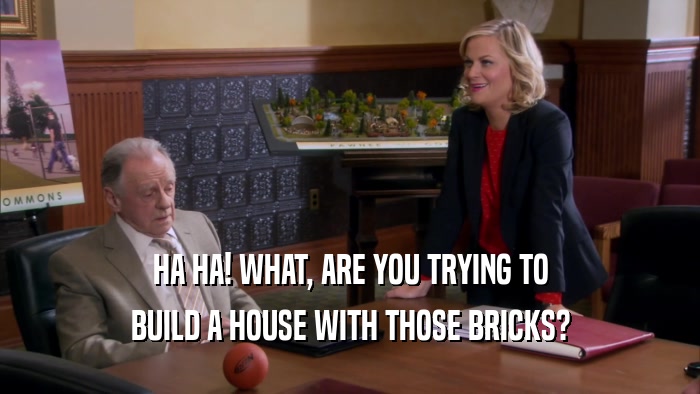 HA HA! WHAT, ARE YOU TRYING TO BUILD A HOUSE WITH THOSE BRICKS? 