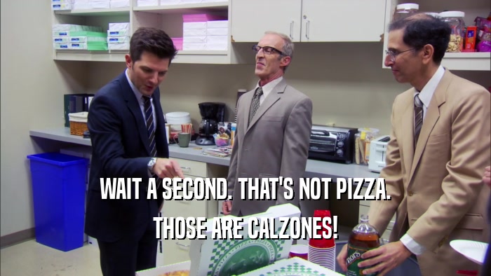 WAIT A SECOND. THAT'S NOT PIZZA. THOSE ARE CALZONES! 