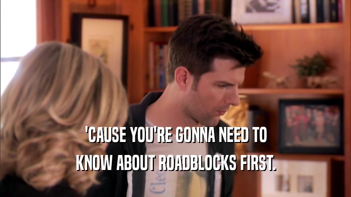 'CAUSE YOU'RE GONNA NEED TO KNOW ABOUT ROADBLOCKS FIRST. 