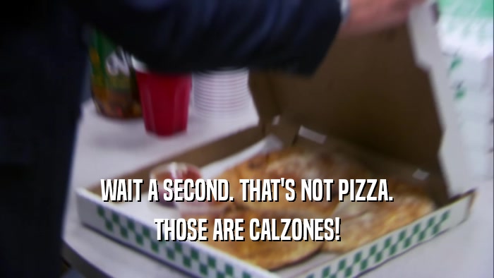 WAIT A SECOND. THAT'S NOT PIZZA. THOSE ARE CALZONES! 