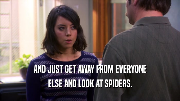 AND JUST GET AWAY FROM EVERYONE ELSE AND LOOK AT SPIDERS. 