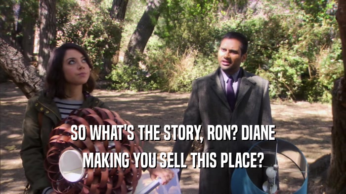 SO WHAT'S THE STORY, RON? DIANE MAKING YOU SELL THIS PLACE? 
