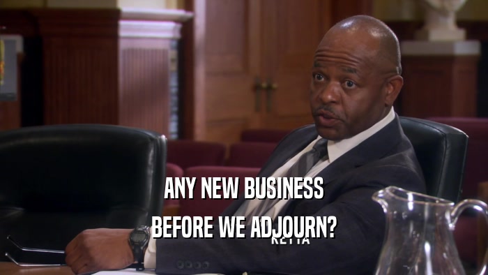 ANY NEW BUSINESS BEFORE WE ADJOURN? 