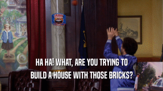 HA HA! WHAT, ARE YOU TRYING TO BUILD A HOUSE WITH THOSE BRICKS? 