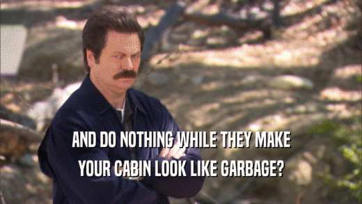 AND DO NOTHING WHILE THEY MAKE YOUR CABIN LOOK LIKE GARBAGE? 