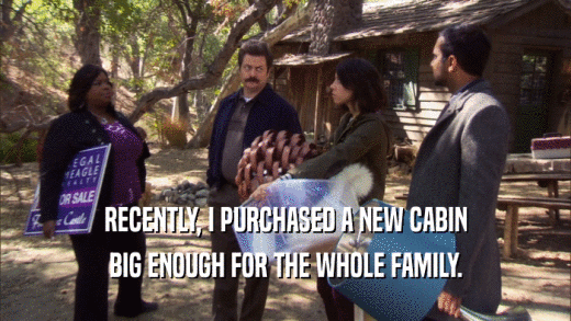 RECENTLY, I PURCHASED A NEW CABIN BIG ENOUGH FOR THE WHOLE FAMILY. 