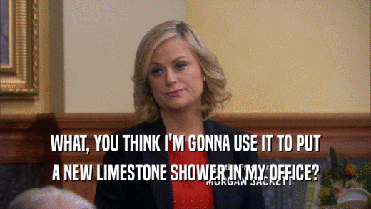 WHAT, YOU THINK I'M GONNA USE IT TO PUT A NEW LIMESTONE SHOWER IN MY OFFICE? 