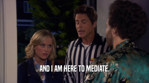 AND I AM HERE TO MEDIATE.  