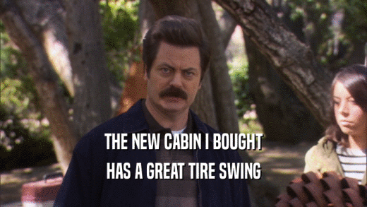 THE NEW CABIN I BOUGHT HAS A GREAT TIRE SWING 