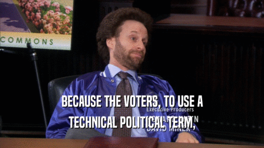 BECAUSE THE VOTERS, TO USE A TECHNICAL POLITICAL TERM, 