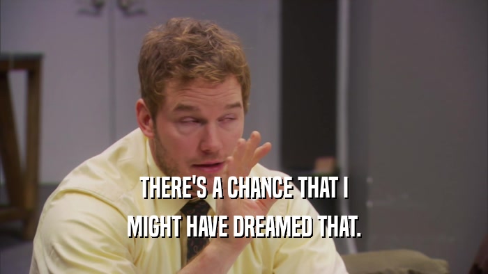 THERE'S A CHANCE THAT I MIGHT HAVE DREAMED THAT. 