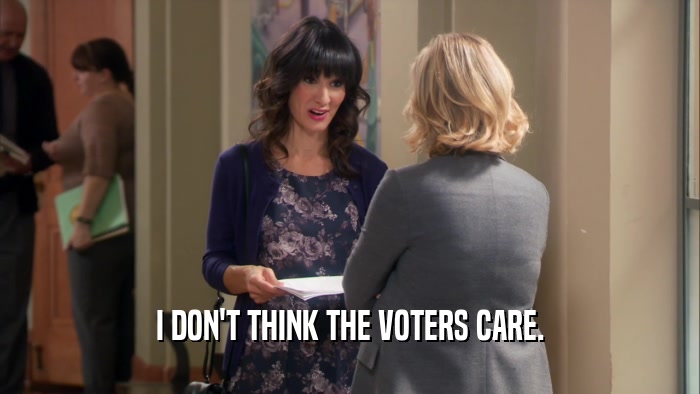 I DON'T THINK THE VOTERS CARE.  