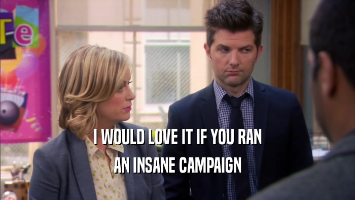 I WOULD LOVE IT IF YOU RAN AN INSANE CAMPAIGN 