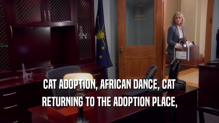 CAT ADOPTION, AFRICAN DANCE, CAT RETURNING TO THE ADOPTION PLACE, 