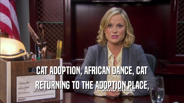 CAT ADOPTION, AFRICAN DANCE, CAT RETURNING TO THE ADOPTION PLACE, 