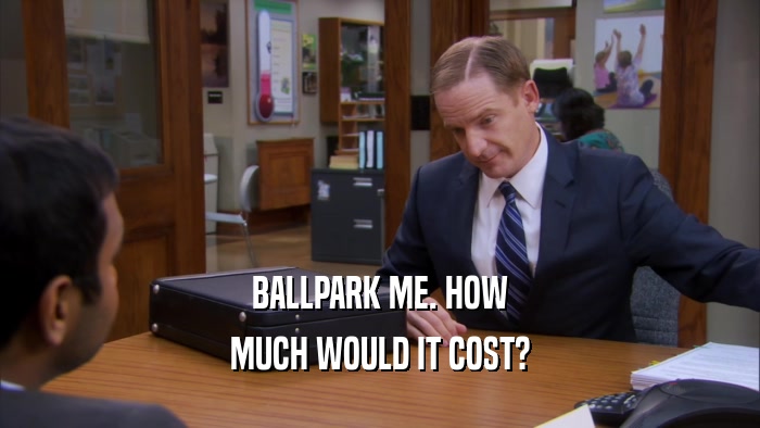 BALLPARK ME. HOW
 MUCH WOULD IT COST?
 