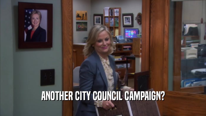 ANOTHER CITY COUNCIL CAMPAIGN?  