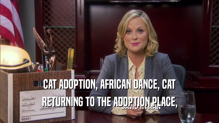 CAT ADOPTION, AFRICAN DANCE, CAT RETURNING TO THE ADOPTION PLACE, 