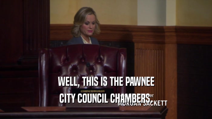WELL, THIS IS THE PAWNEE
 CITY COUNCIL CHAMBERS.
 