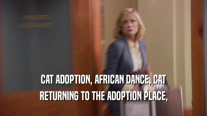CAT ADOPTION, AFRICAN DANCE, CAT RETURNING TO THE ADOPTION PLACE, 
