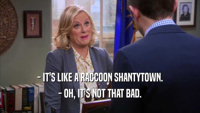 - IT'S LIKE A RACCOON SHANTYTOWN. - OH, IT'S NOT THAT BAD. 